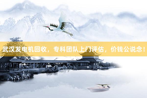 武汉发电机回收，专科团队上门评估，价钱公说念！