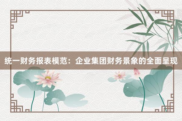 统一财务报表模范：企业集团财务景象的全面呈现