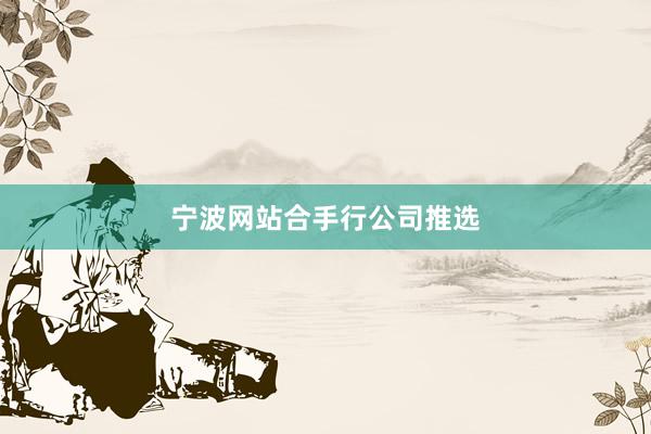 宁波网站合手行公司推选