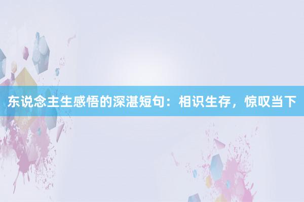 东说念主生感悟的深湛短句：相识生存，惊叹当下